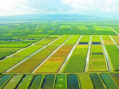 绿色植保科技 助力中国绿色农业发展