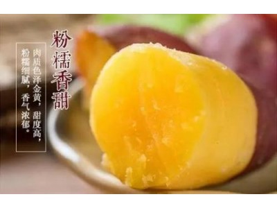 2019年3月1日重庆合川区红薯报价一览